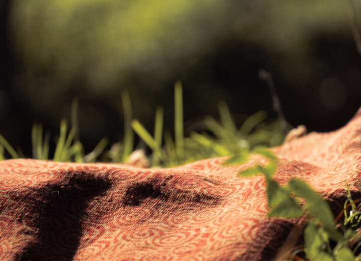 The Truth About Organic Cotton (Beyond the Label)